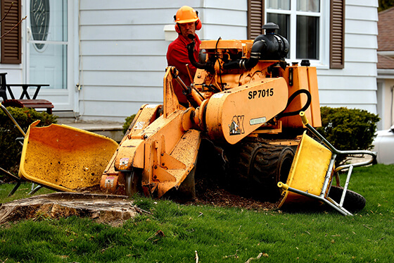 northville stump grinding