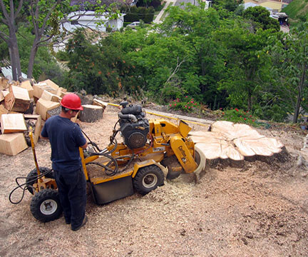 stump grinding and removal service
