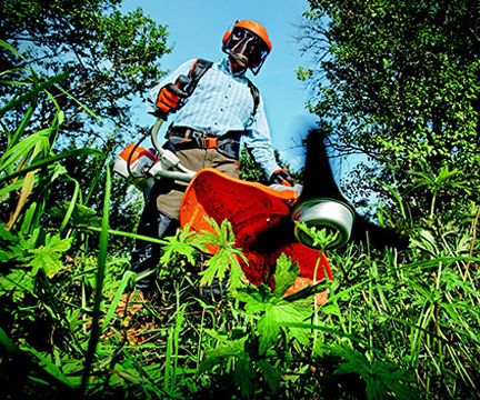 Tree removal service