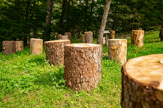 tree removal