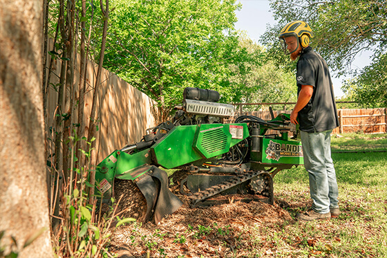 removing bushes in livonia