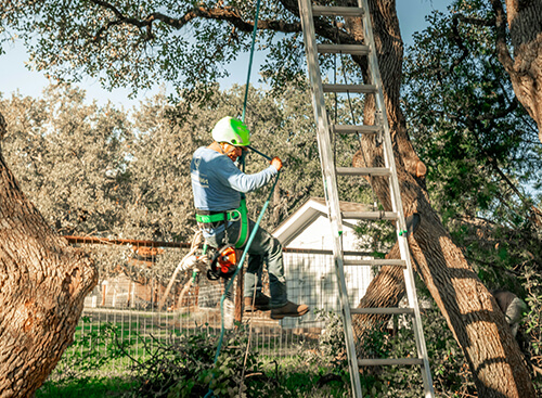cabling in northville