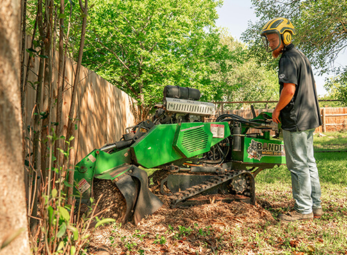 stump grinding